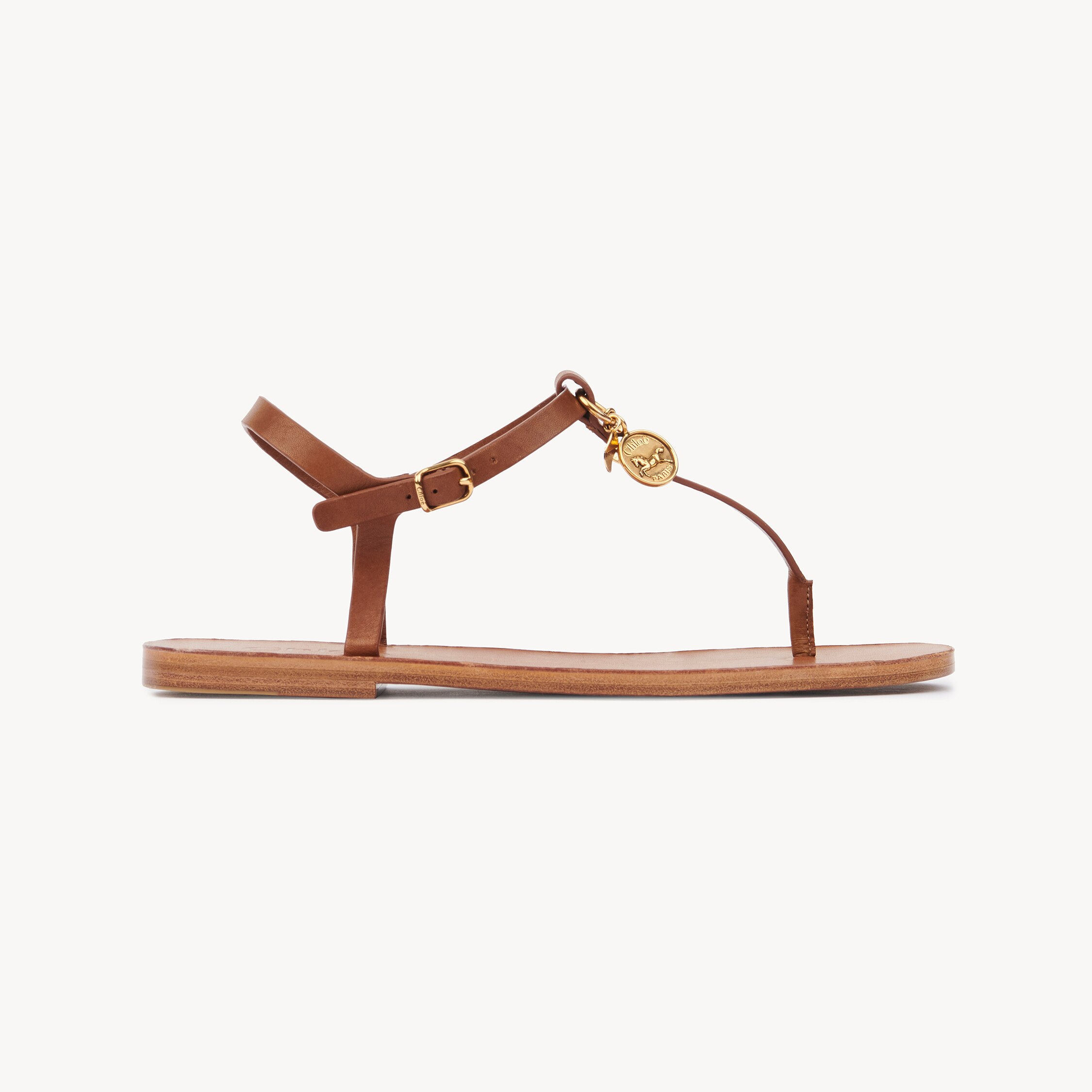 Chloé Sandals In Brown