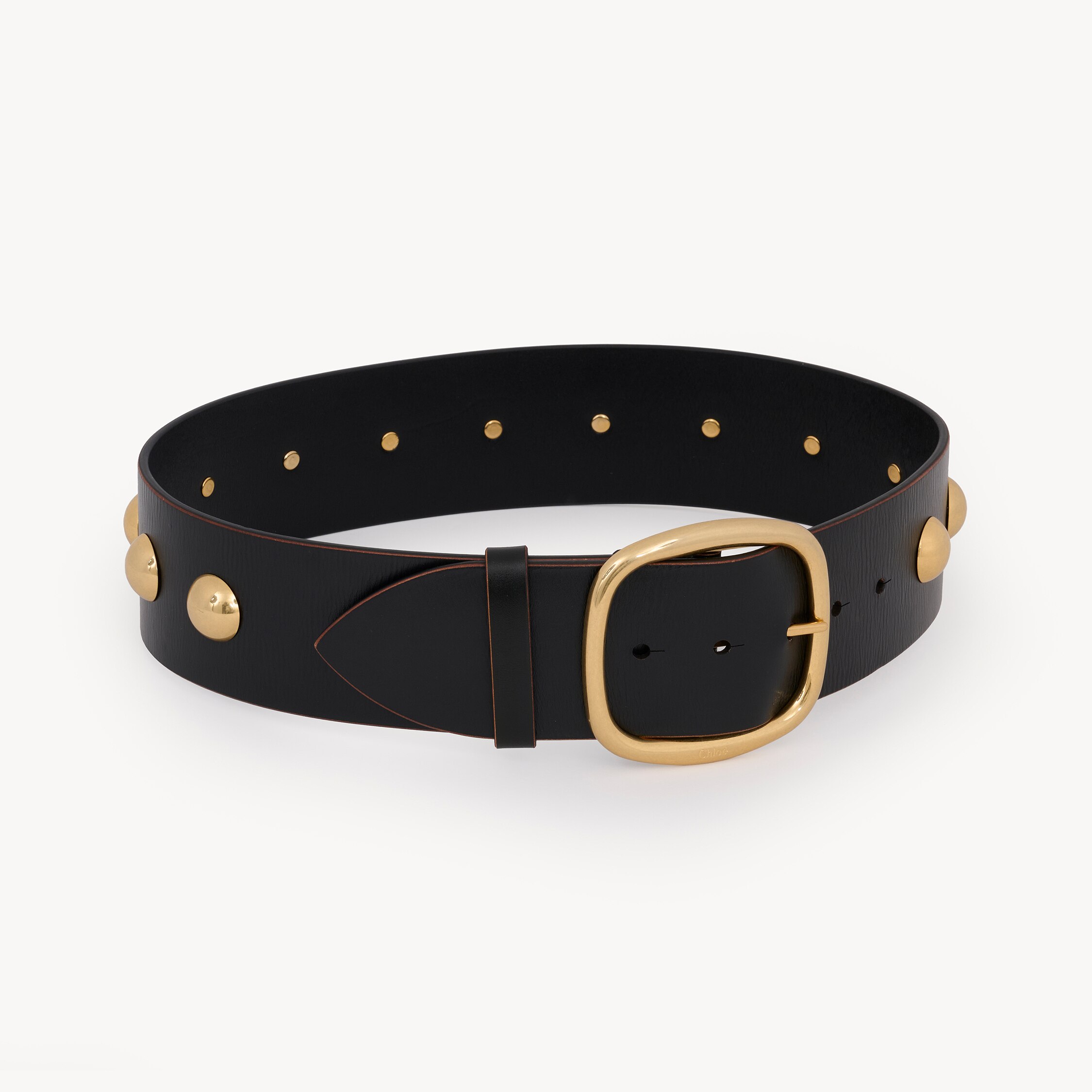 Chloé Gold And Black In Brown