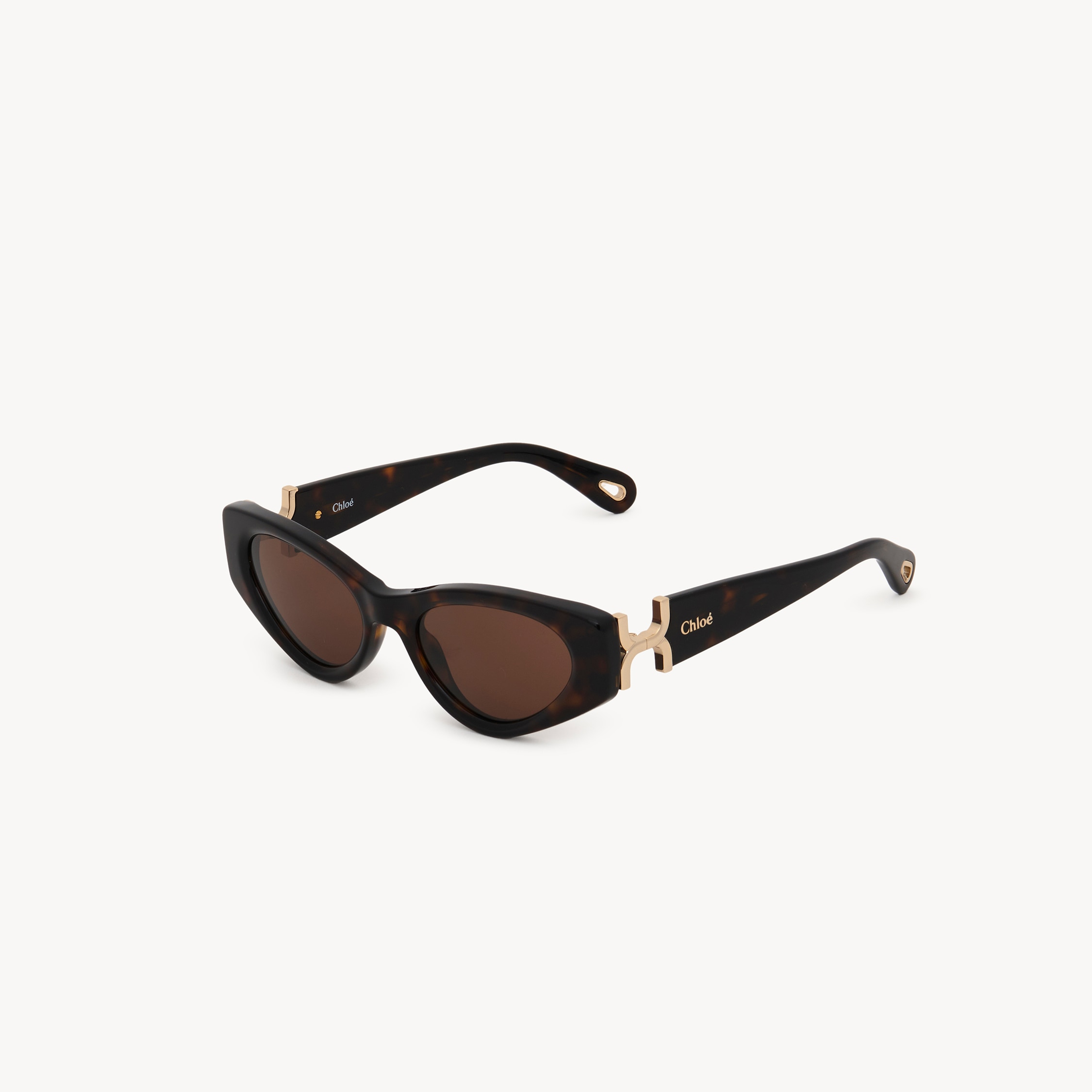 Chloé Marcie Sunglasses In Brown