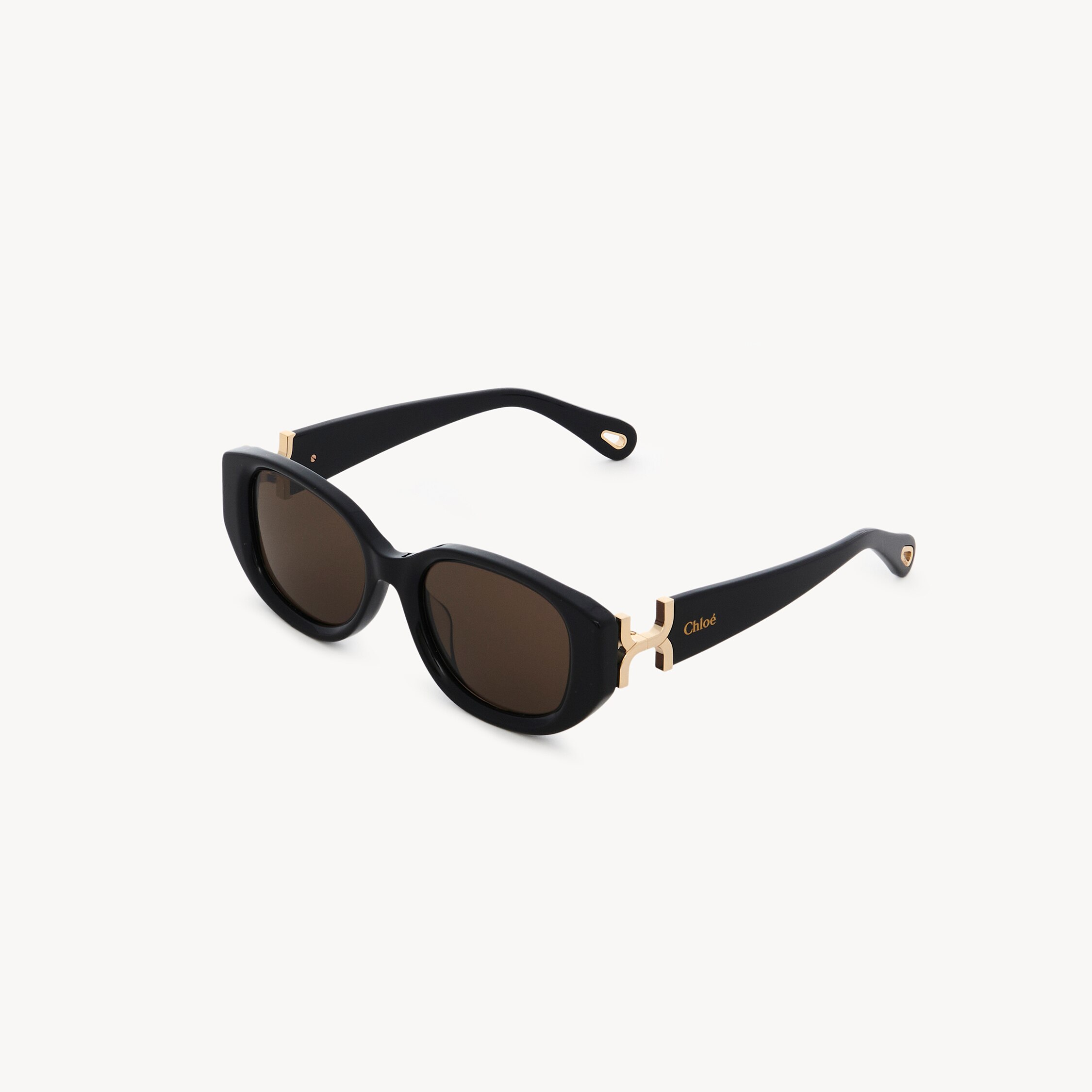 Chloé Gafa Sol Marcie Havana Cristal Marron In Black
