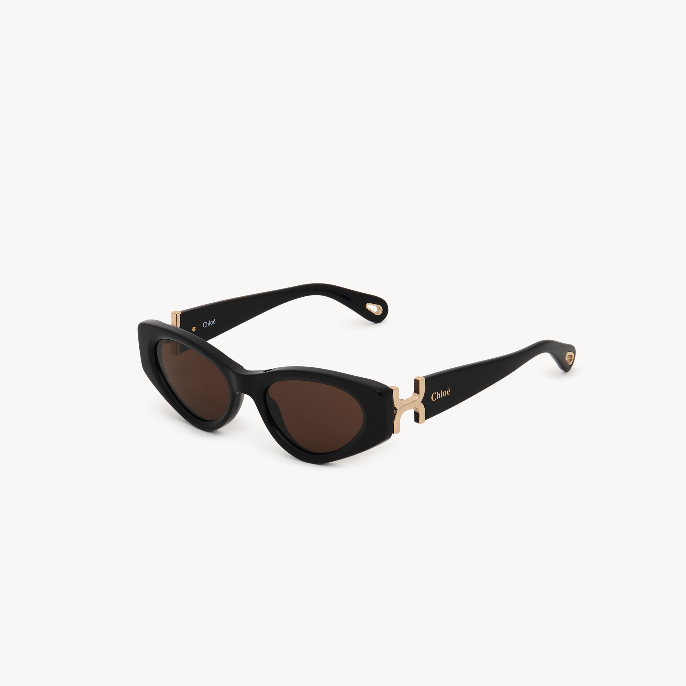 Chloé Marcie Sunglasses In Black