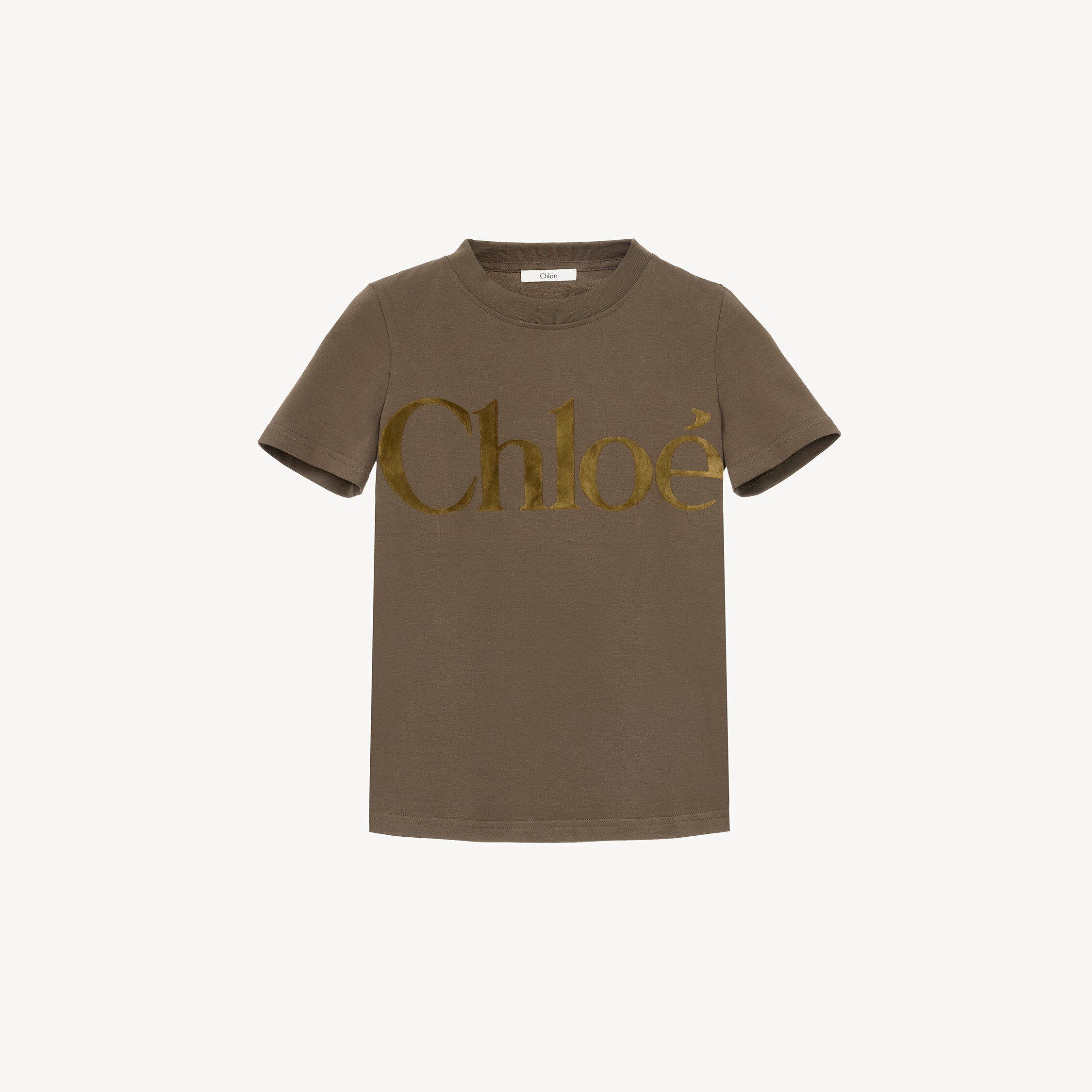 Chloé T-shirt With Logo In Multi