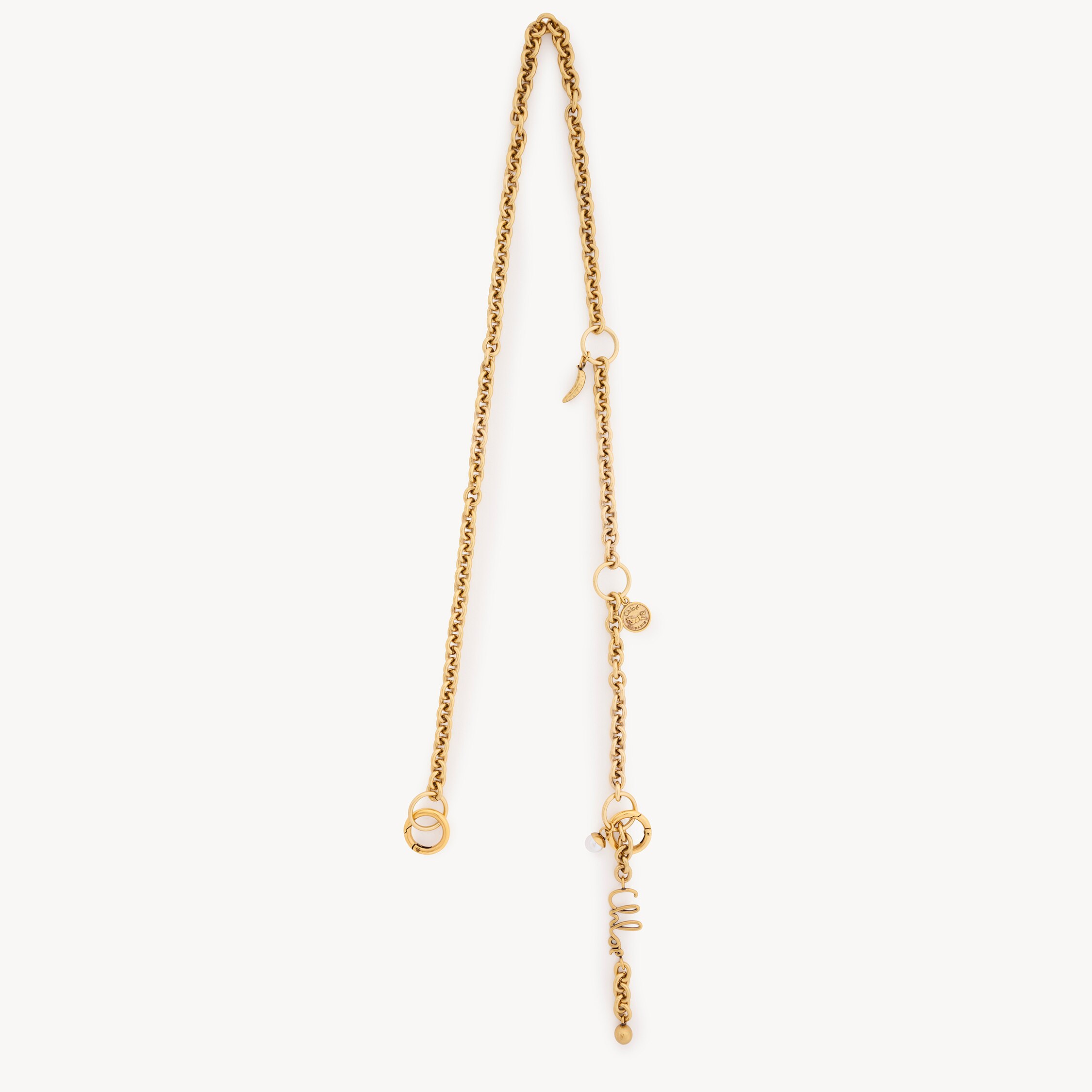 Chloé Gold Color In Brown