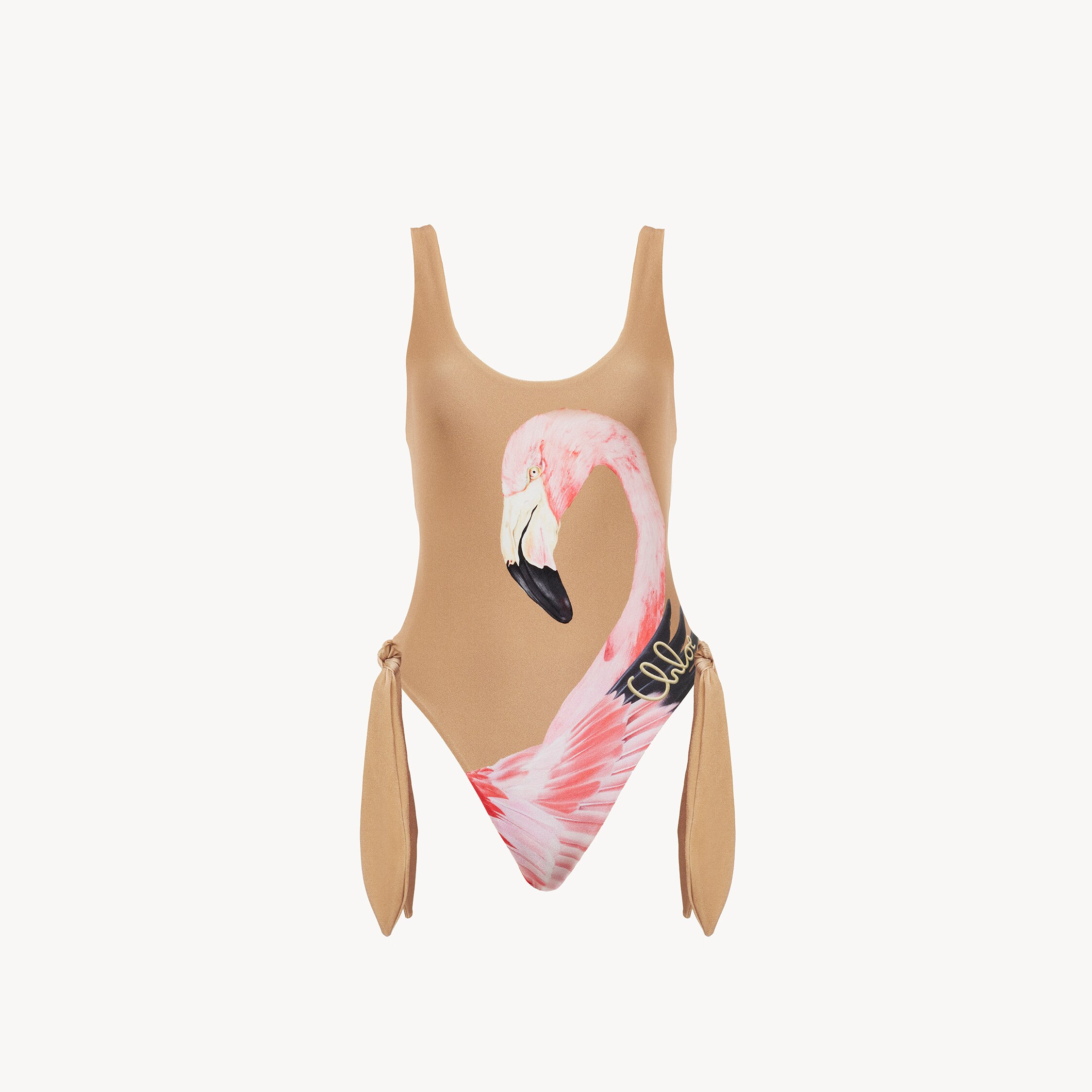 Chloé Cut-out One-piece Swimsuit In Brown