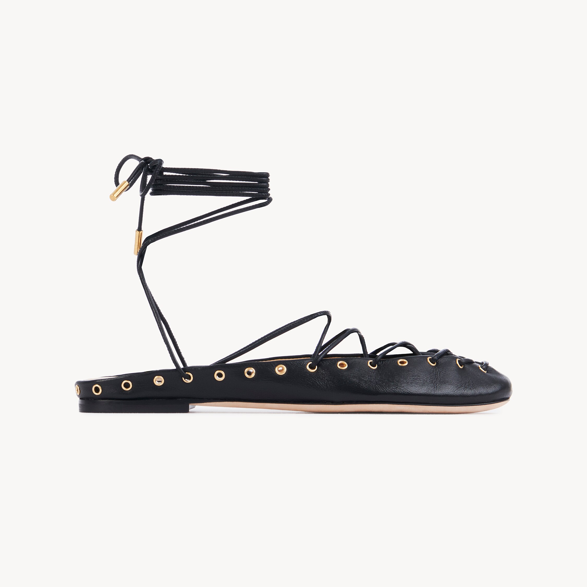 Chloé Ghillies Leather Ballerina Flat In Black