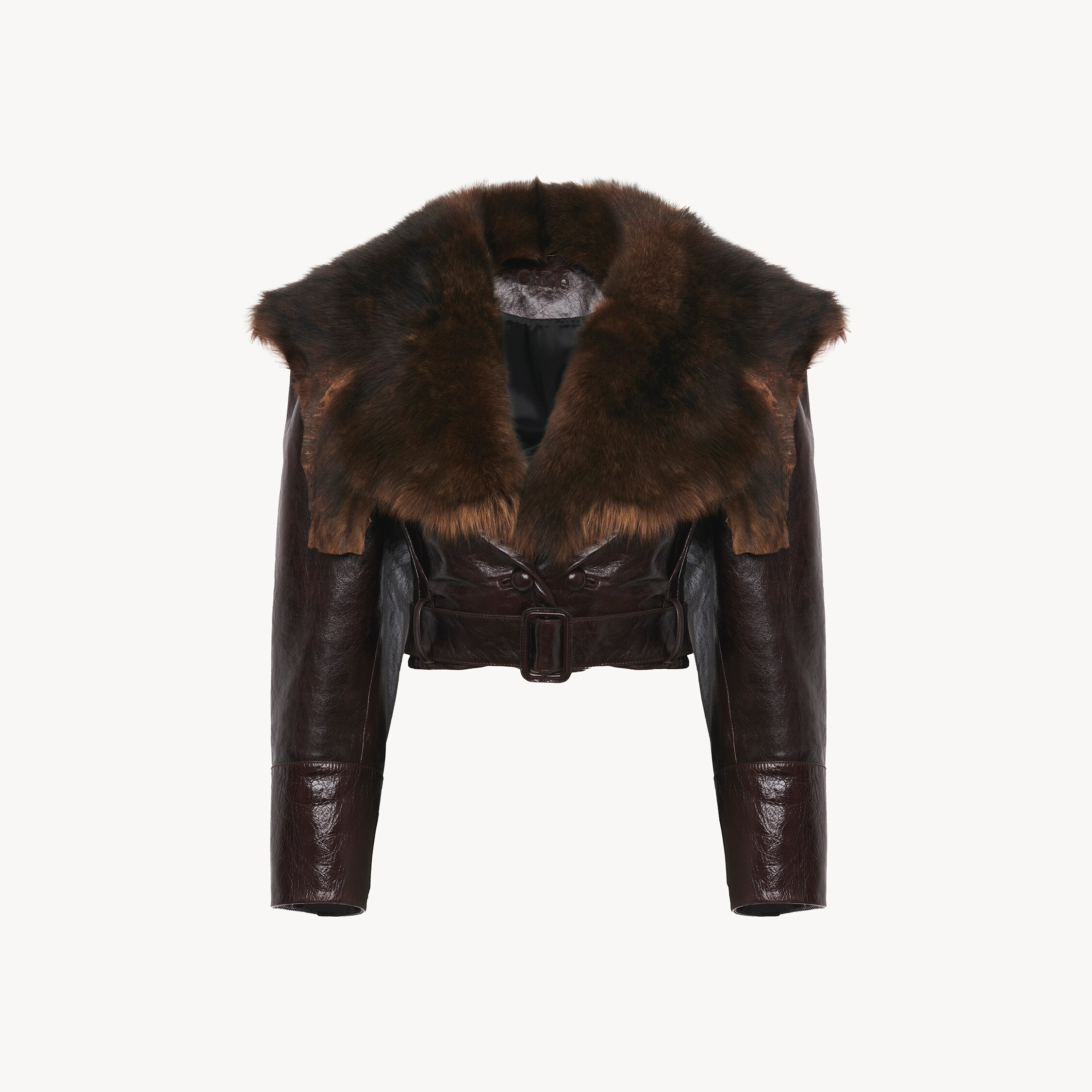 Chloé Shiny Leather Crop Moto Jacket With Removable Lamb Shearling Collar In Multi